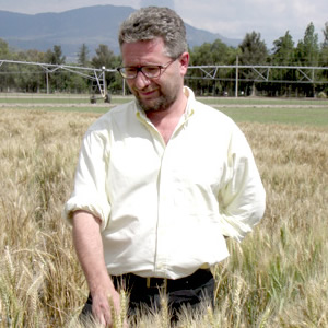 Matthew Reynolds